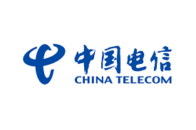 Explore the complexities of IP transmission among China's major telecom operators.