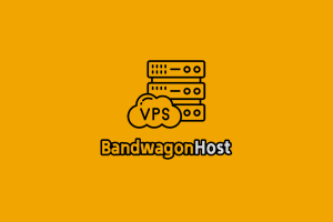搬瓦工 VPS 推荐：CN2 线路全面解析与套餐选购指南