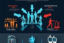 社会性动物:人为什么会做蠢事-Toy's Tech Notes