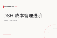 dsh-cost-meter 使用指南: Token 计费、预算与价格校准-80aj