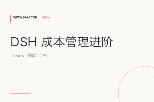 dsh-cost-meter 使用指南: Token 计费、预算与价格校准