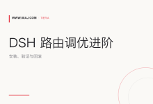 dsh-routing-suite 安装与调优: 路由预设、验证和回滚-80aj