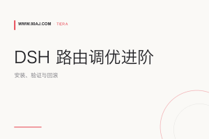 dsh-routing-suite 安装与调优: 路由预设、验证和回滚